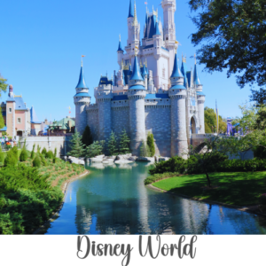 Disney World